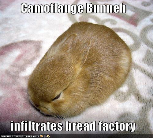 Infiltrates Bread Factory Funny Bunny
