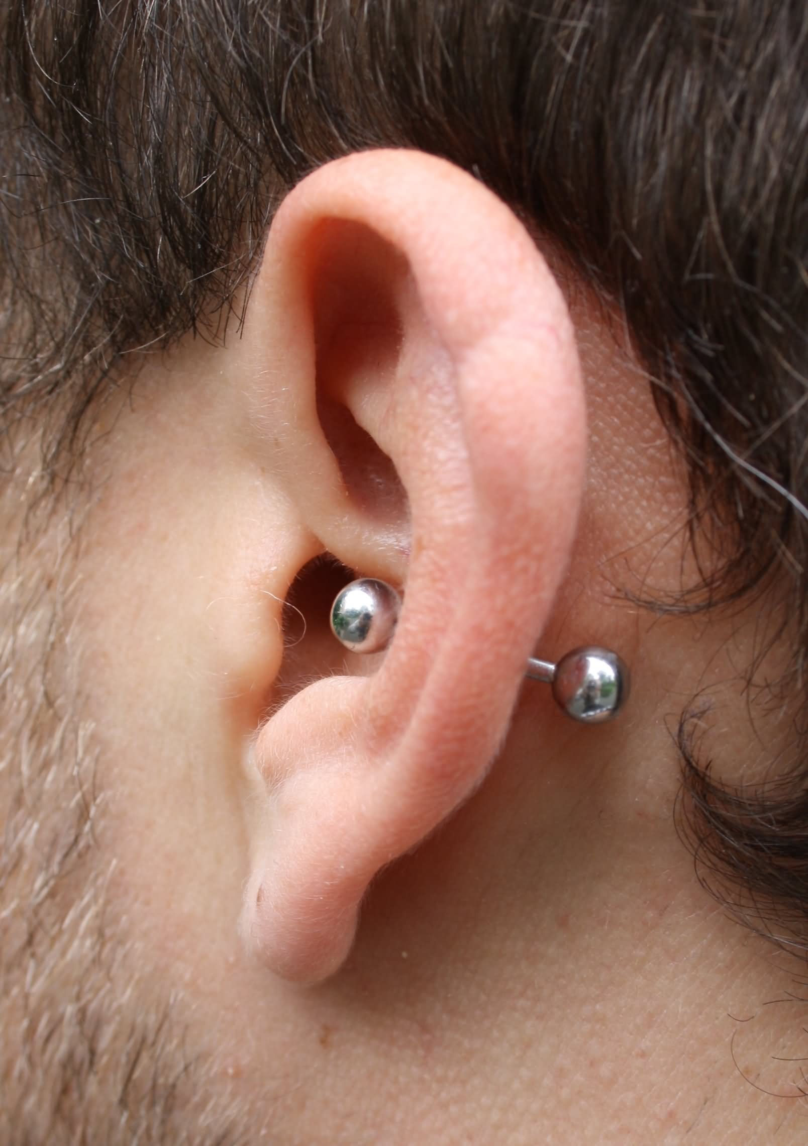 Inner Conch Piercing With Silver Barbell
