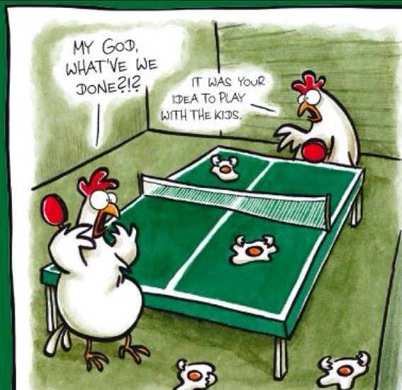 Funny Chicken Cartoons Jokes 20 Most Funny Tennis Pictures