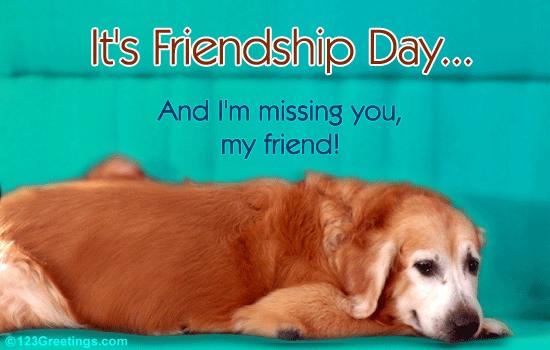 It's Friendship Day And I'm Missing You My Friend