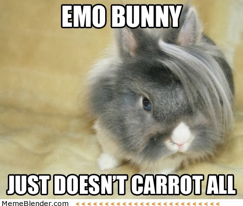 Just Doesn't Carrot All Funny Bunny Meme