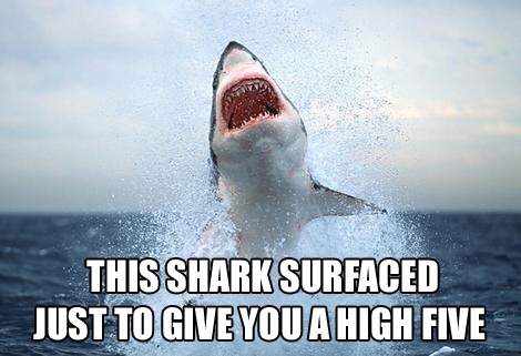 Just To Give You A High Five Funny Shark Meme