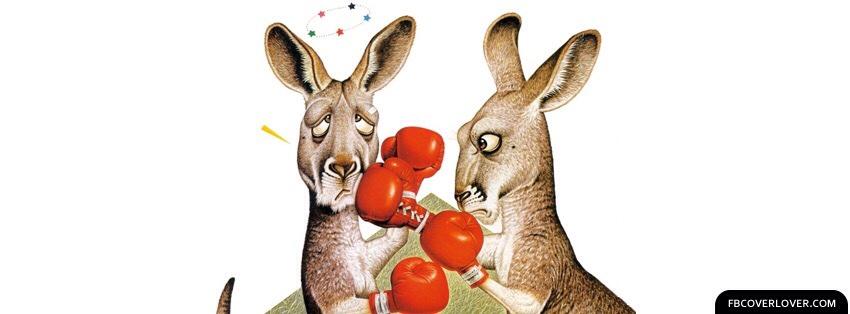 Kangaroos Boxing Funny Picture