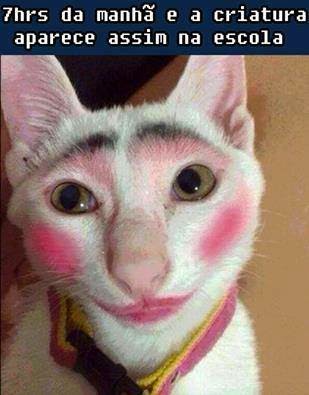 Kitten Funny Makeup Face