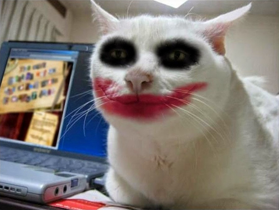 Kitten With Funny Makeup