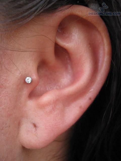 Left Ear Tragus Piercing With Diamond Stud
