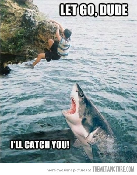 Let Go Dude I Will Catch You Funny Shark Meme