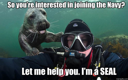 Let Me Help You I Am A Seal Funny Swimming Meme