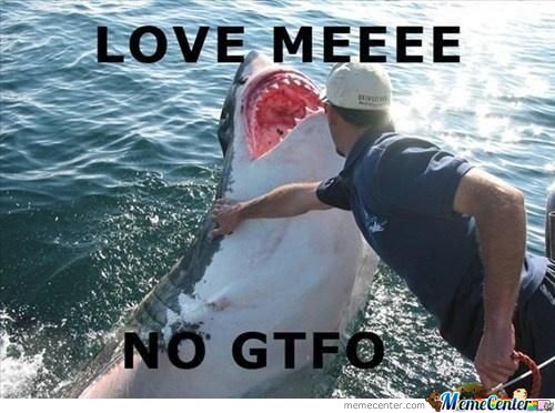 Love Mee No Gtfo Funny Shark Meme