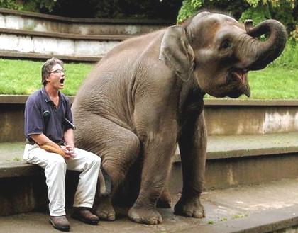 Man And Elephant Howling Together Funny Picture