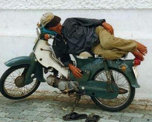 Man Funny Sleeping On Bike