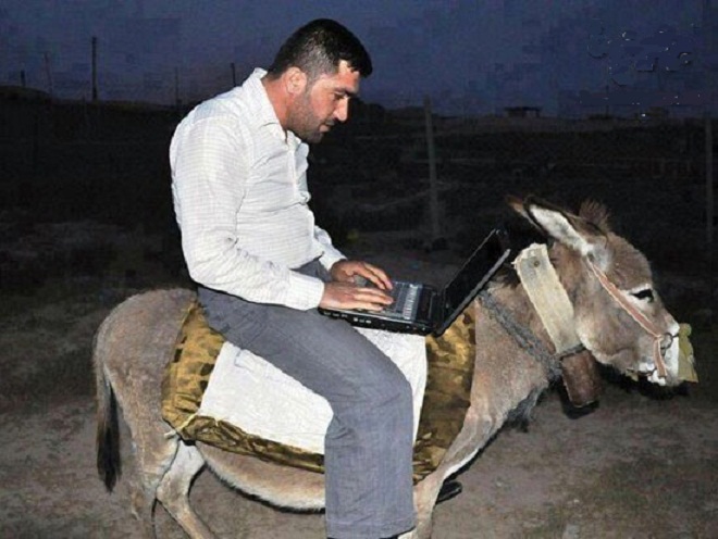 Man On Donkey Operating Laptop Funny Picture