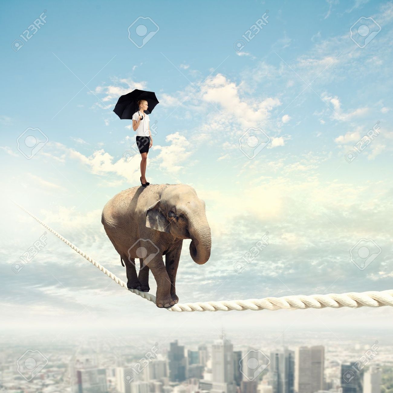 Man On Elephant Funny Walking Tightrope