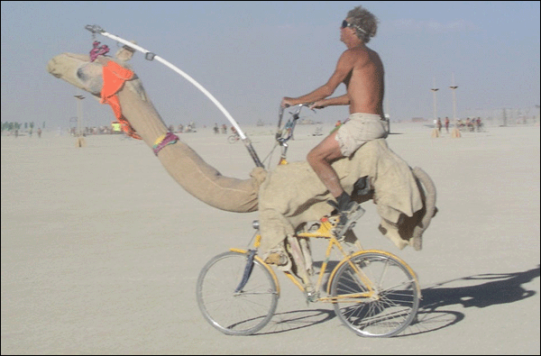 Man Ride Funny Camel Bicycle