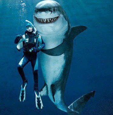 Man With Shark Funny Image