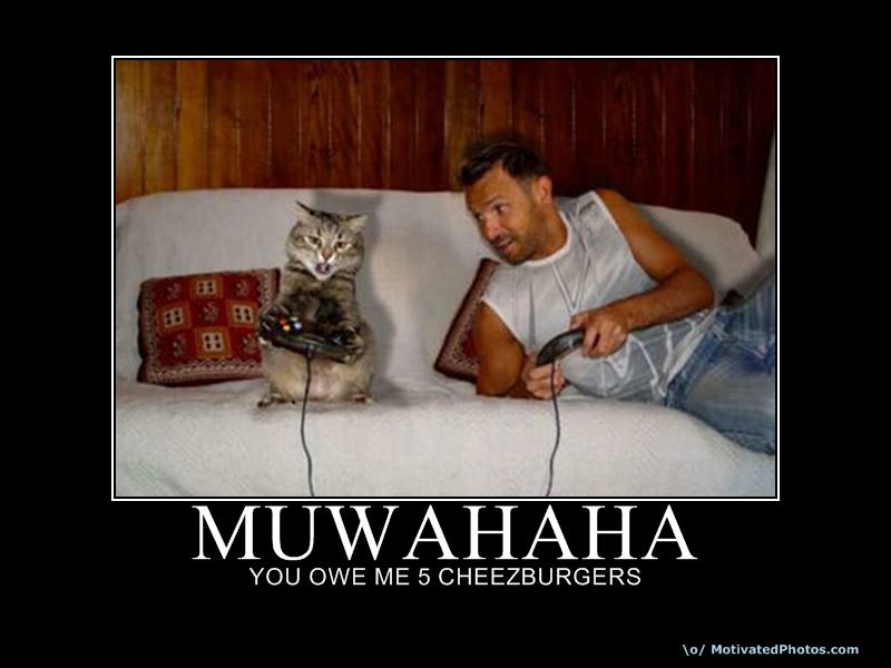 Muwahaha You Owe Me 5 Cheezburgers Funny Picture Poster