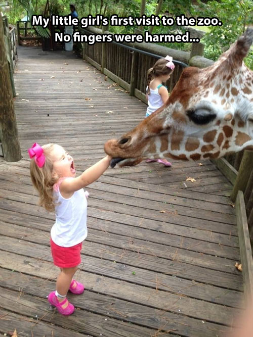 My Little Girl's First Visit To Zoo Funny Giraffe Meme