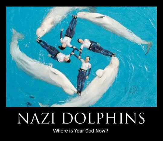 Nazi Dolphins Where Is Your Good Now Funny Swimming
