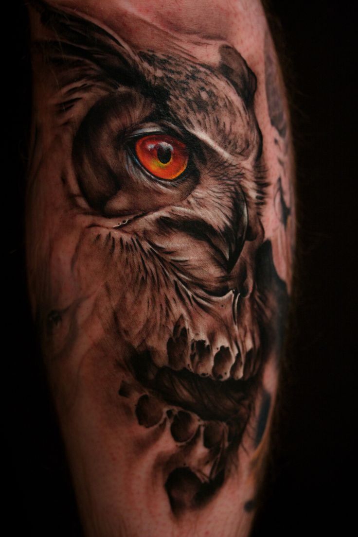 Owl morphing with skull tattoo