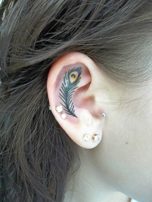 Peacock Feather Tattoo On Girl Inside The Ear