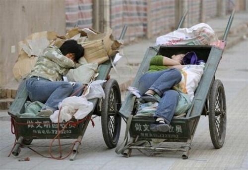 People Funny Sleeping In Cart