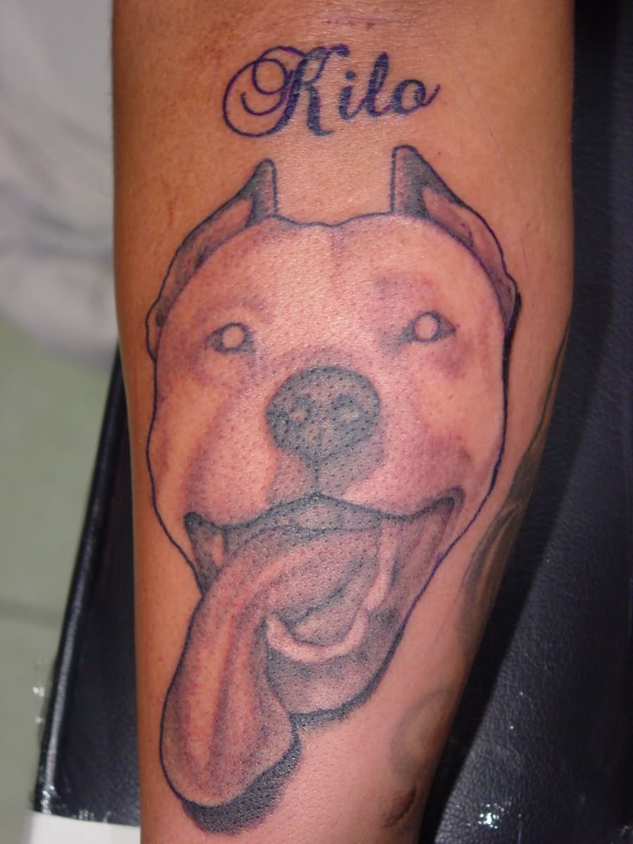 Pit Bull Dog Memorial Portrait Tattoo by Fabian Cobos