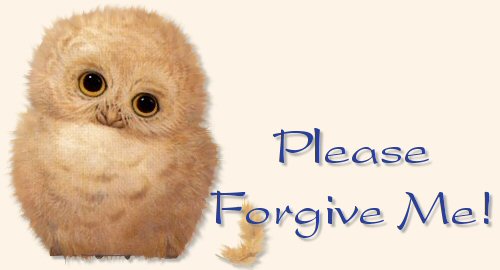 Please Forgive Me Owl Picture