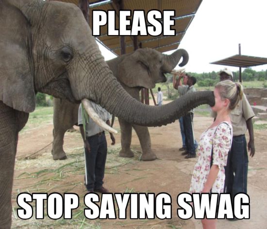 Please Stop Saying Swag Funny Elephant Meme