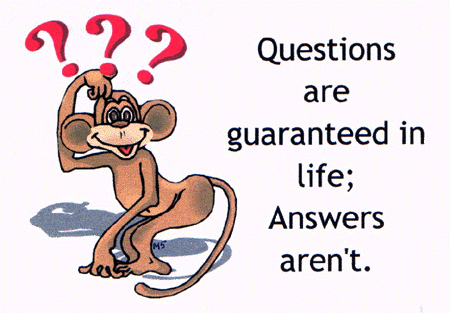 Question Are Guaranteed In Life Funny Question