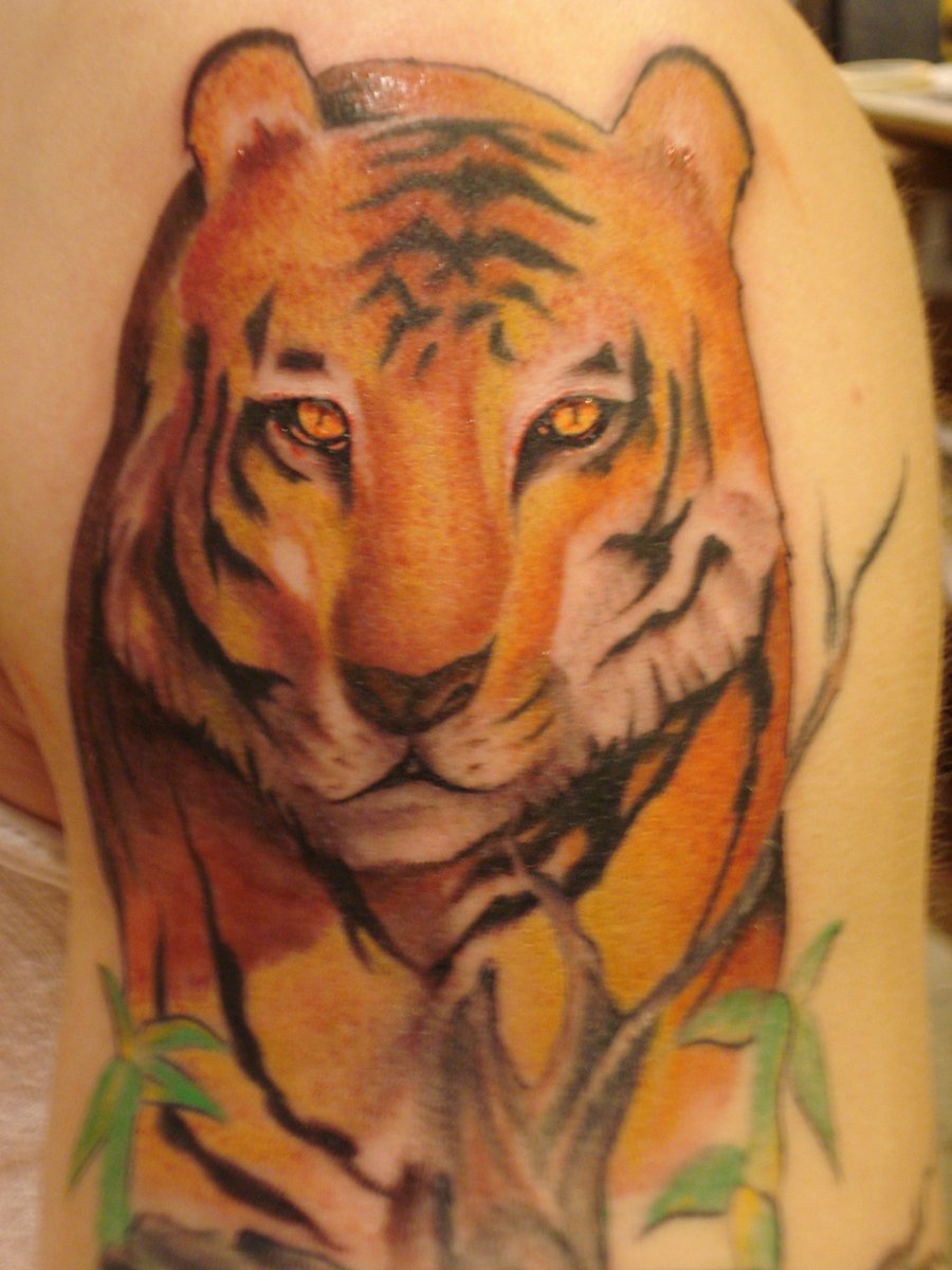 Realistic Tiger Tattoo by Fabian Cobos