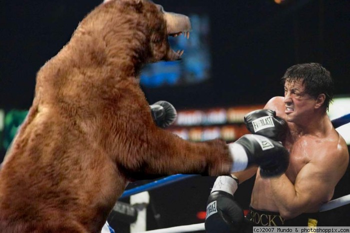 Rocky Balboa and Boxing Bear Funny Photoshop