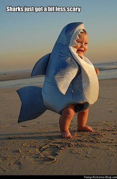 Sharks Just Got A Bit Less Scary Funny Shark Baby