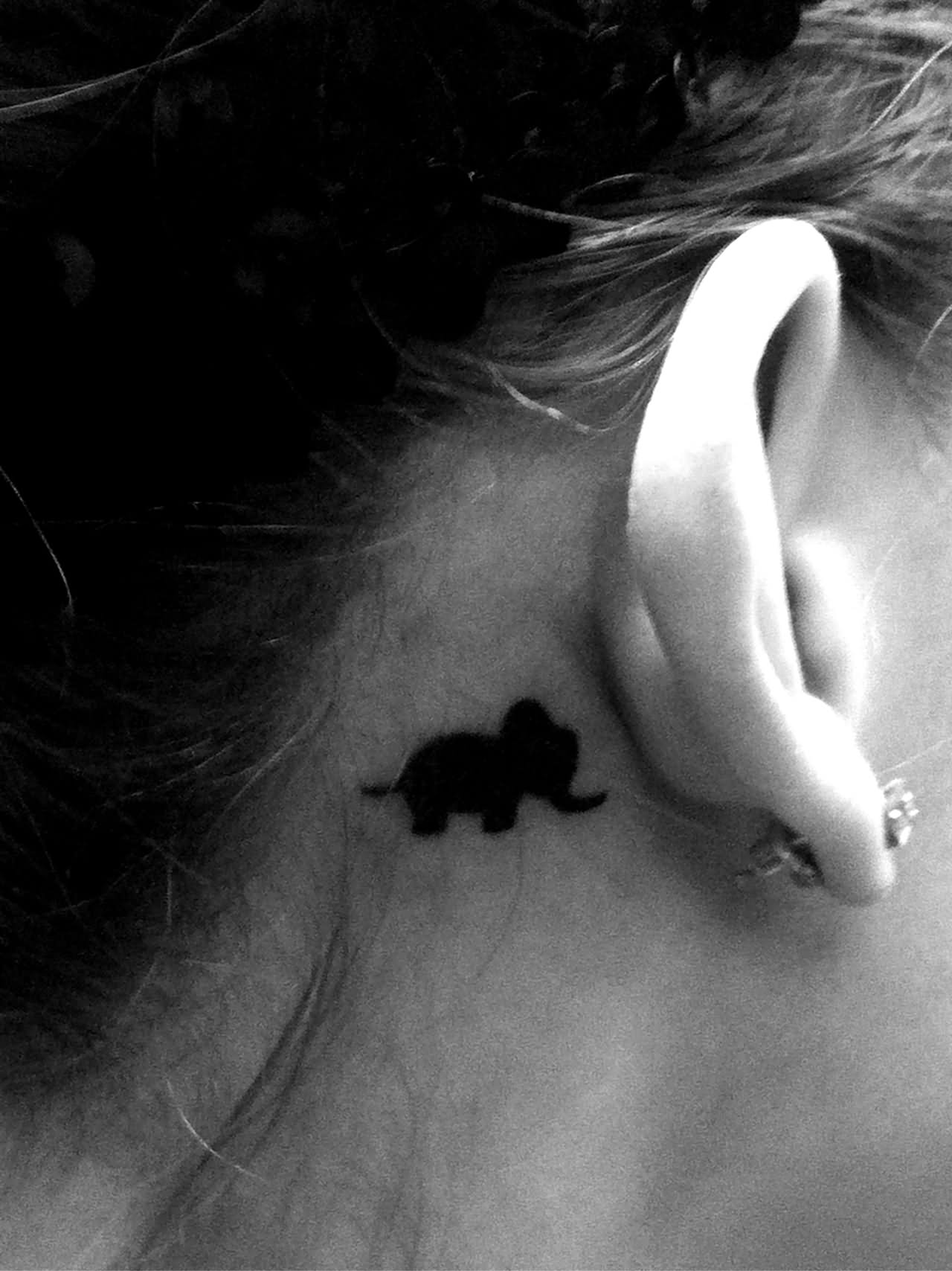 Silhouette Tiny Elephant Tattoo On Girl Behind The Ear