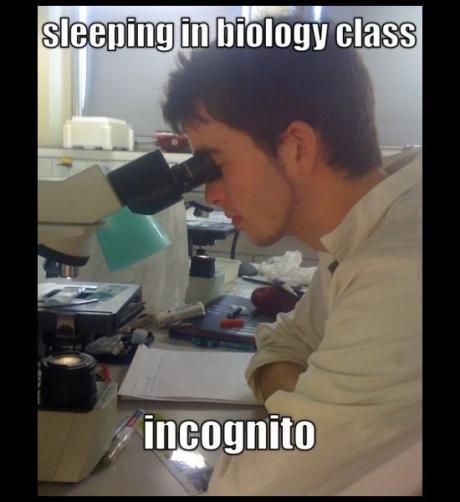 Sleeping In Biology Class Incognito Funny Meme