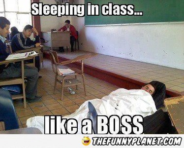Sleeping In class Like Boss Funny Meme