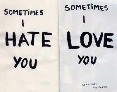 Sometimes I Hate You Sometimes I Love You