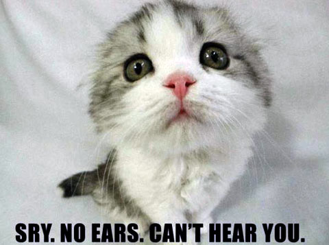 Sry No Ears Can't Hear You Funny Cat