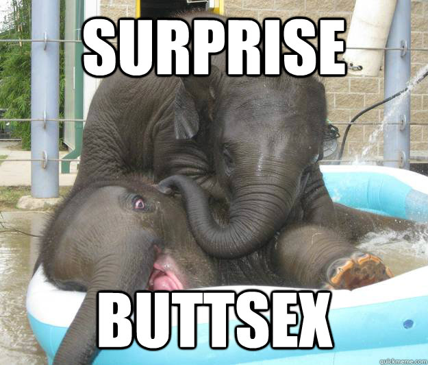Surprise Buttsex Funny Elephant Meme