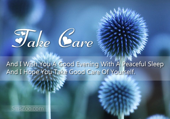 Take Care And I Wish You A Good Evening