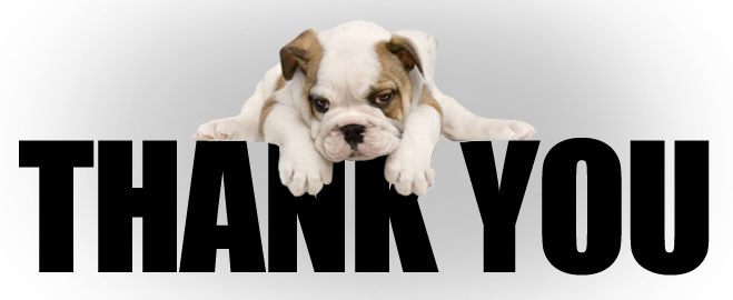 Image result for thank you dog image