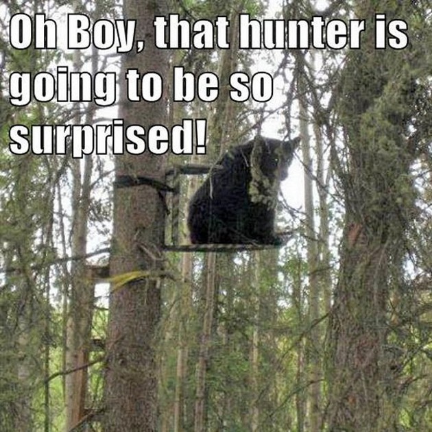 That Hunter Is Going To Be so Surprised Funny Hunting Image