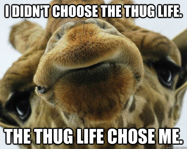The Thug Life Chose Me Funny Giraffe Meme