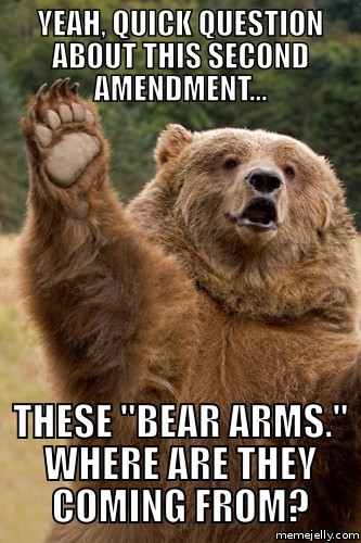 These Bear Arms They Coming From Funny Question Meme