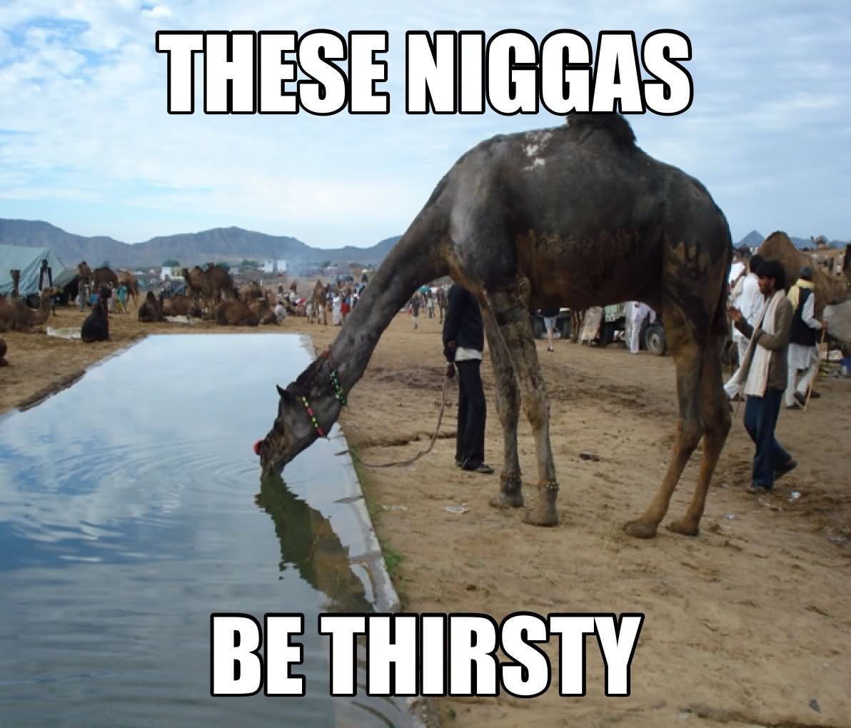 These Niggas Be Thirsty Funny Camel Meme