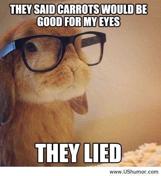 They Said Carrots Would Be Good For My Eyes Funny Bunny Meme