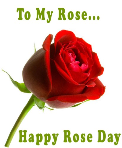 To My Rose Happy Rose Day Rose Bud Picture