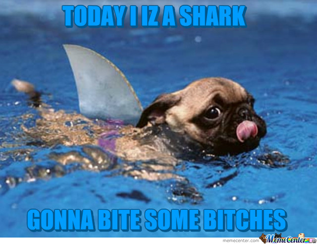 Today I Iz A Shark Gonna Bite Some Bitches Funny Meme