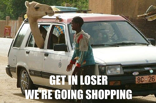 We Are Going Shopping Funny Camel Picture