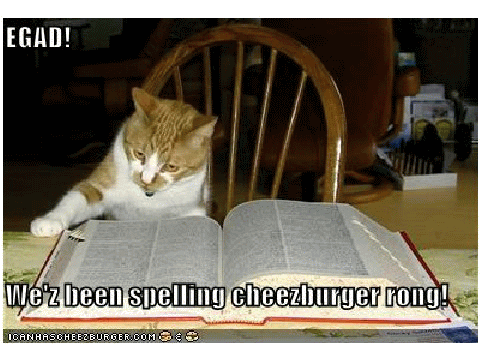 We'z Been Spelling Cheezburger Rong Funny Cat