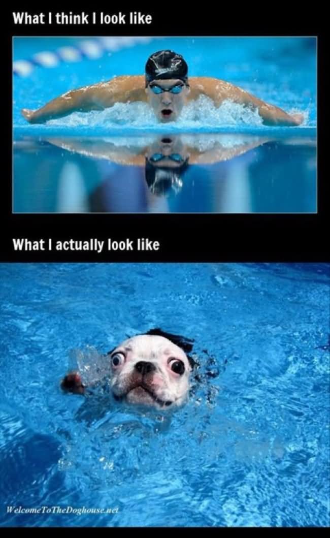 What I Think Look Like Funny Swimming Meme